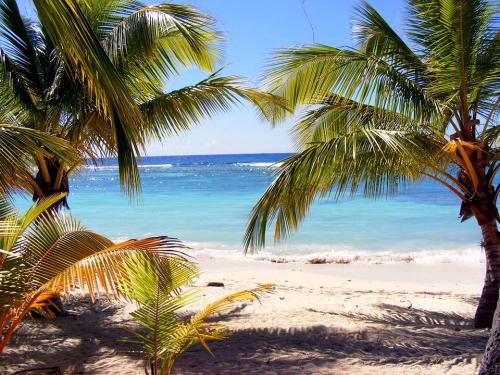 Dominikai Köztársaság - Fehér homokos part és életigenlő hangulat a karibi szigeten